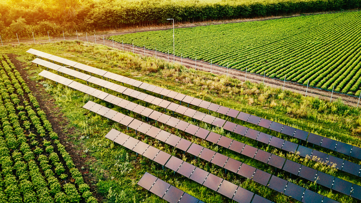 İrlanda’da güneş enerjisi tarıma destek olacak